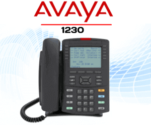 Avaya 1230 India