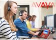 Avaya Telephone Tips and Tricks Sure to Increase Productivity
