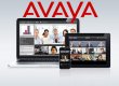 Avaya Sharjah
