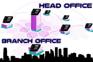 Branch-Office-Phone-Interconnection-cochin-kerala